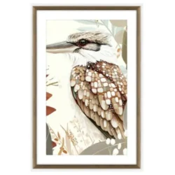 Kookaburra Glass Framed Print