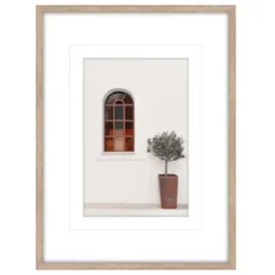 Olive Tree Glass Framed Print