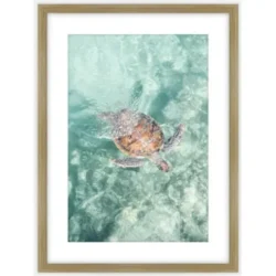 Turtle Glass Frame A